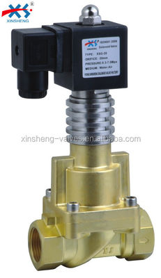 SS304/Brass High Temperature Solenoid Valve Standard Normally Closed XSGW Series 2 Way